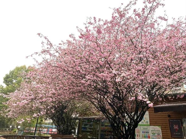 微信图片_20210406134256.jpg 微信图片_20210406134256.jpg